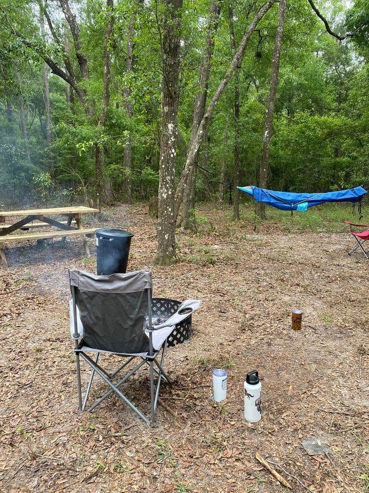 Sharon Y.'s photo of tent camping at Moonlit Avenue near Starke, FL