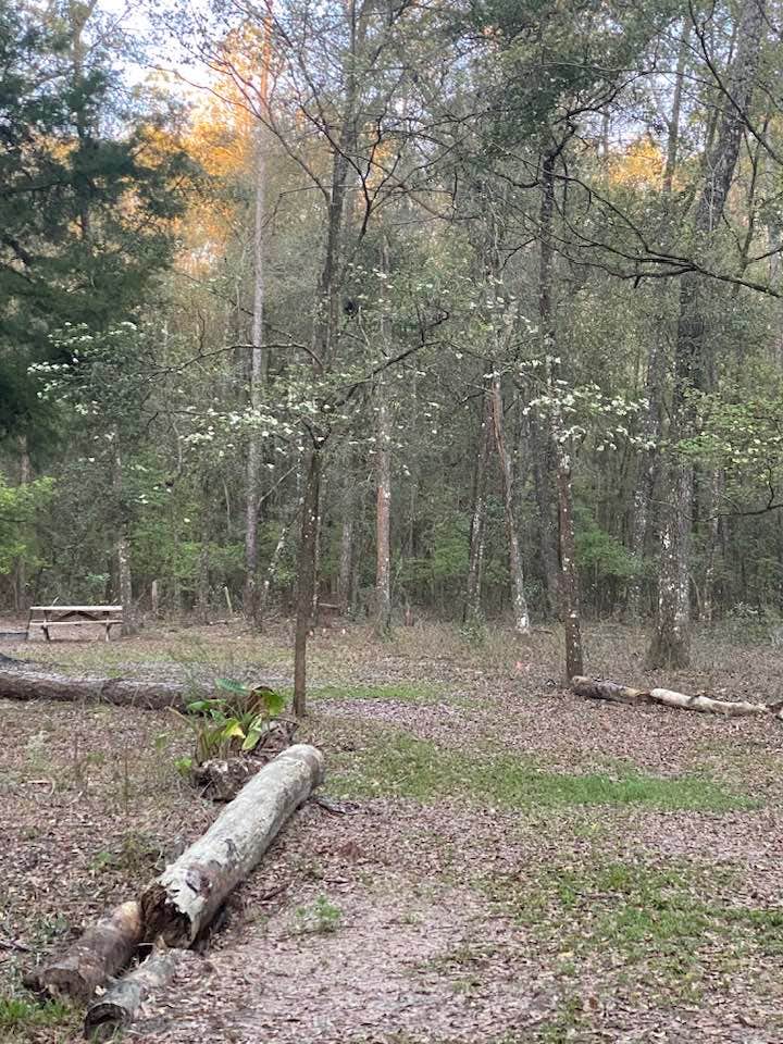 Camper-submitted photo at Moonlit Avenue near Trenton, FL