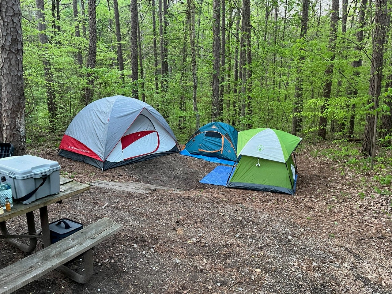 Camper submitted image from German Ridge Recreation Area - 1