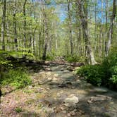 Review photo of German Ridge Campground — Hoosier National Forest by Joel K., April 24, 2024