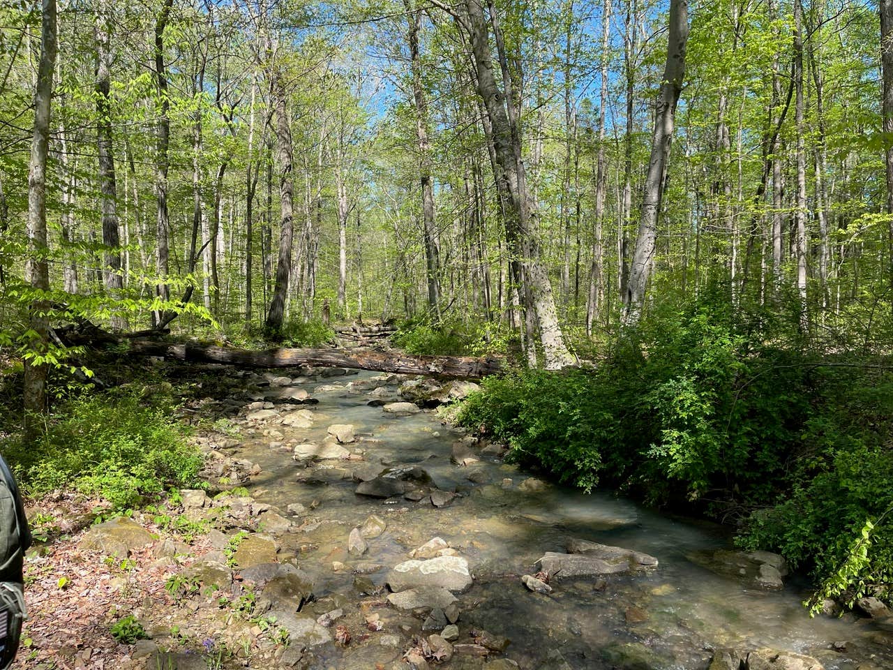 Camper submitted image from German Ridge Campground — Hoosier National Forest - 5