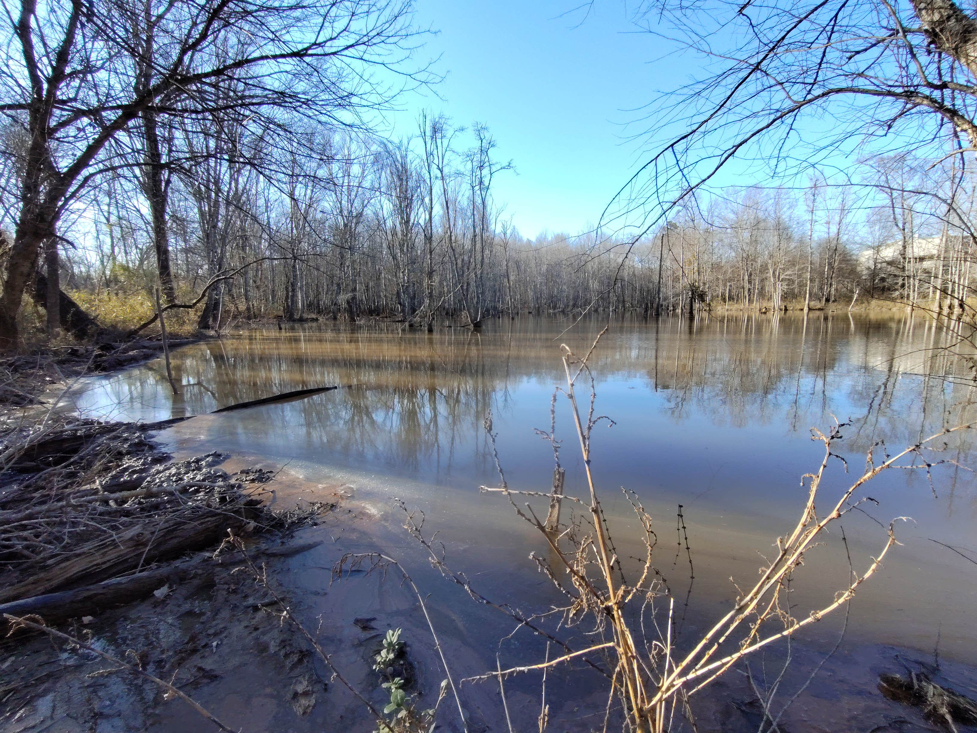 Camper submitted image from Stockbridge Wetland and Wilderness Campus - 1