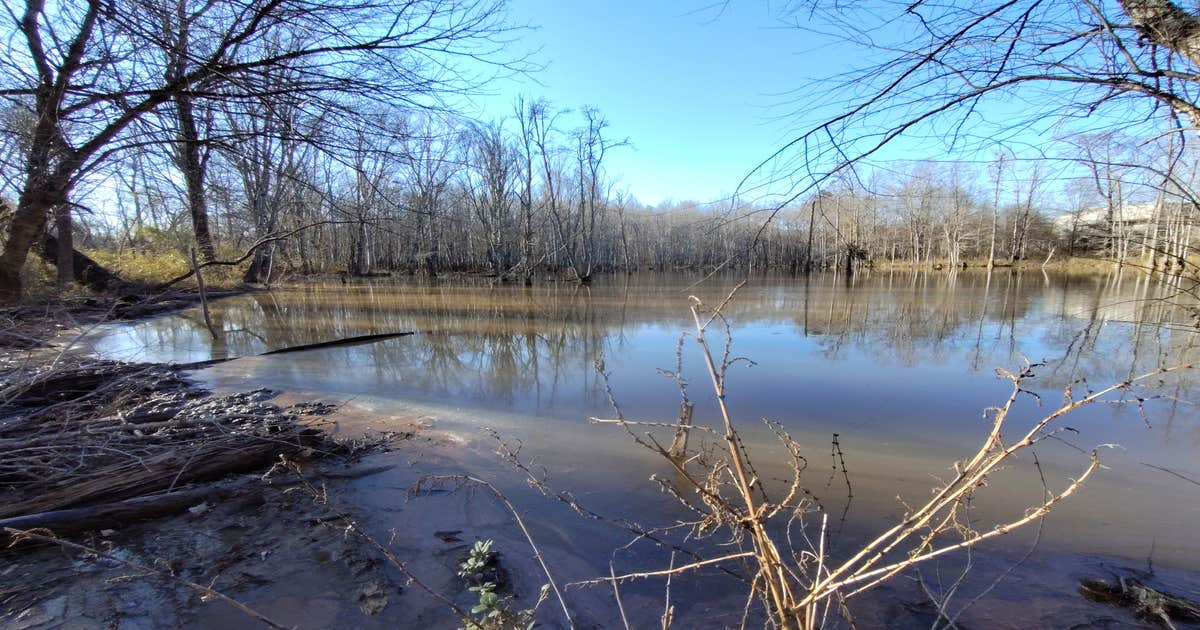 Stockbridge Wetland and Wilderness Campus