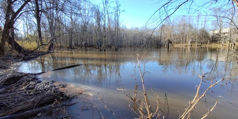 Camper submitted image from Stockbridge Wetland and Wilderness Campus