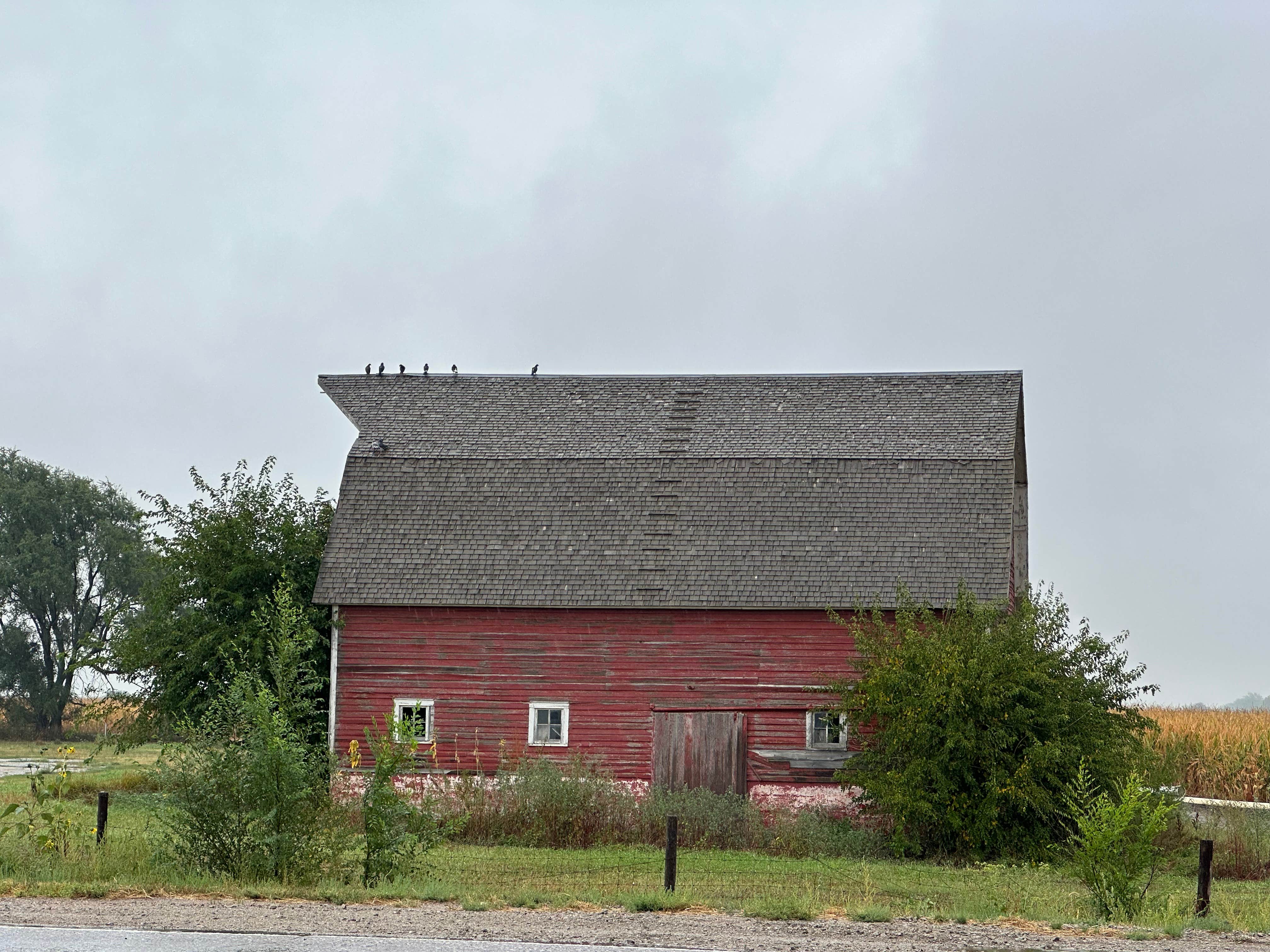 Camper-submitted photo at Riverview Marina State Rec Area near Union, NE