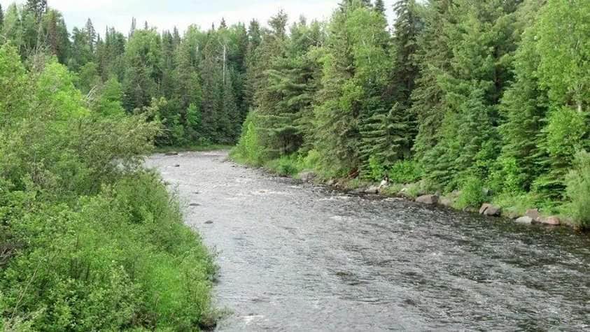 Camper submitted image from Eckbeck Finland State Forest - 4