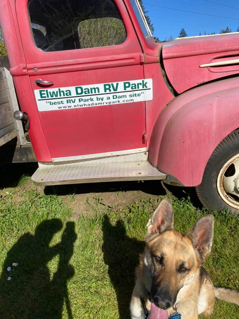 Gary K.'s photo of camping with pets at Elwha Dam RV Park near Olympic National Park