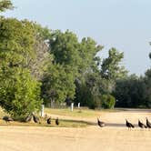 Review photo of Jackson Lake State Park — Jackson Lake by Steve G., April 25, 2024