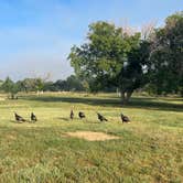 Review photo of Jackson Lake State Park — Jackson Lake by Steve G., April 25, 2024