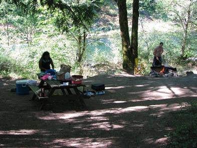 Camper submitted image from Mount Hood National Forest Sunstrip Campground - TEMPORARILY CLOSE DUE TO FIRE DAMAGE - 4