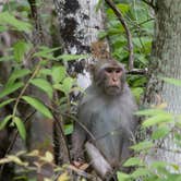 Review photo of Silver Springs State Park Campground by B M., April 25, 2024