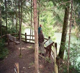 Camper-submitted photo from Tyee Campground (umpqua River)
