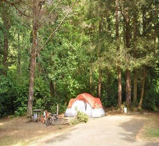 Camper-submitted photo from Alsea Falls Recreation Site (campground)