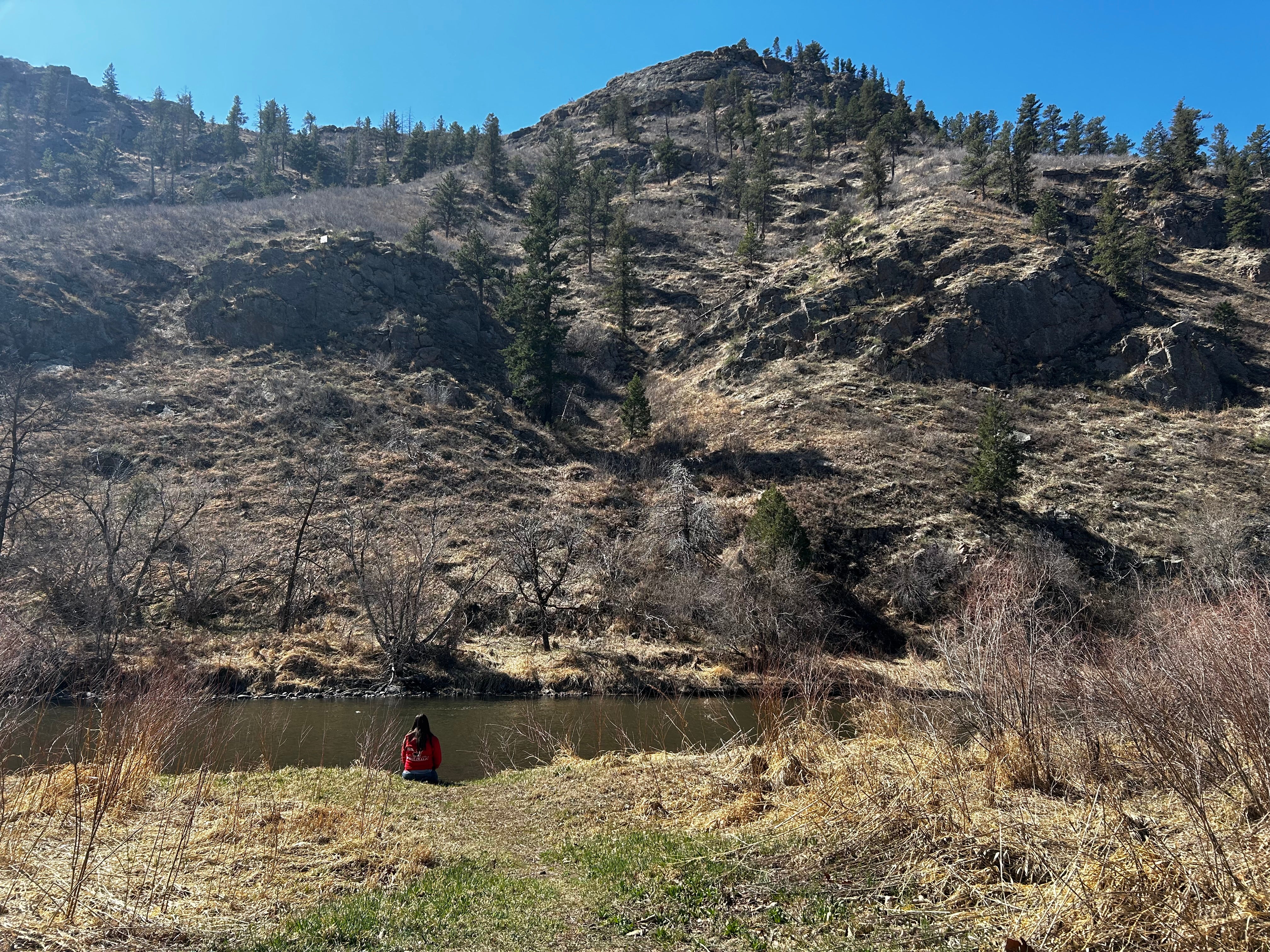 Camper submitted image from Poudre Valley Getaway - 2