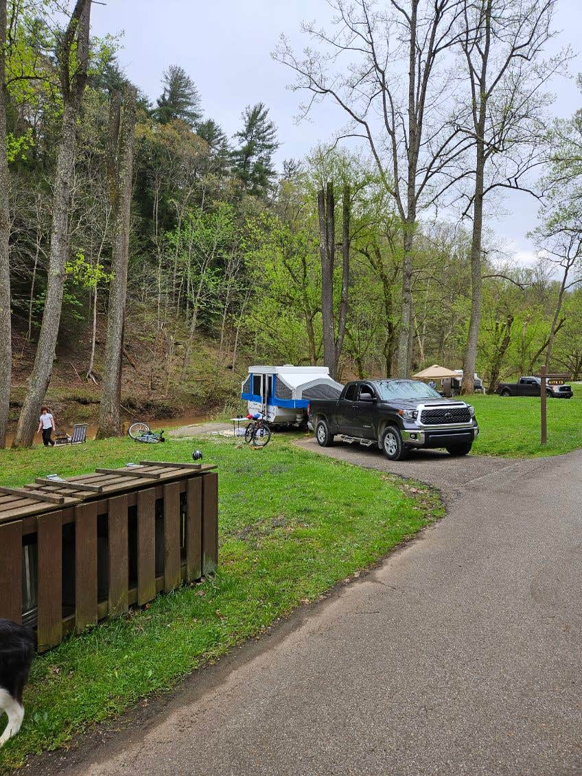 Julie C.'s photo of camping with pets at River Run Campground — North Bend State Park near Vienna, WV