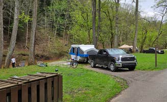 Julie C.'s photo of camping with pets at River Run Campground — North Bend State Park near Beallsville, OH