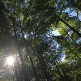 Review photo of Cub Lake Campground #2 — Natchez Trace State Park by Molly G., September 13, 2016
