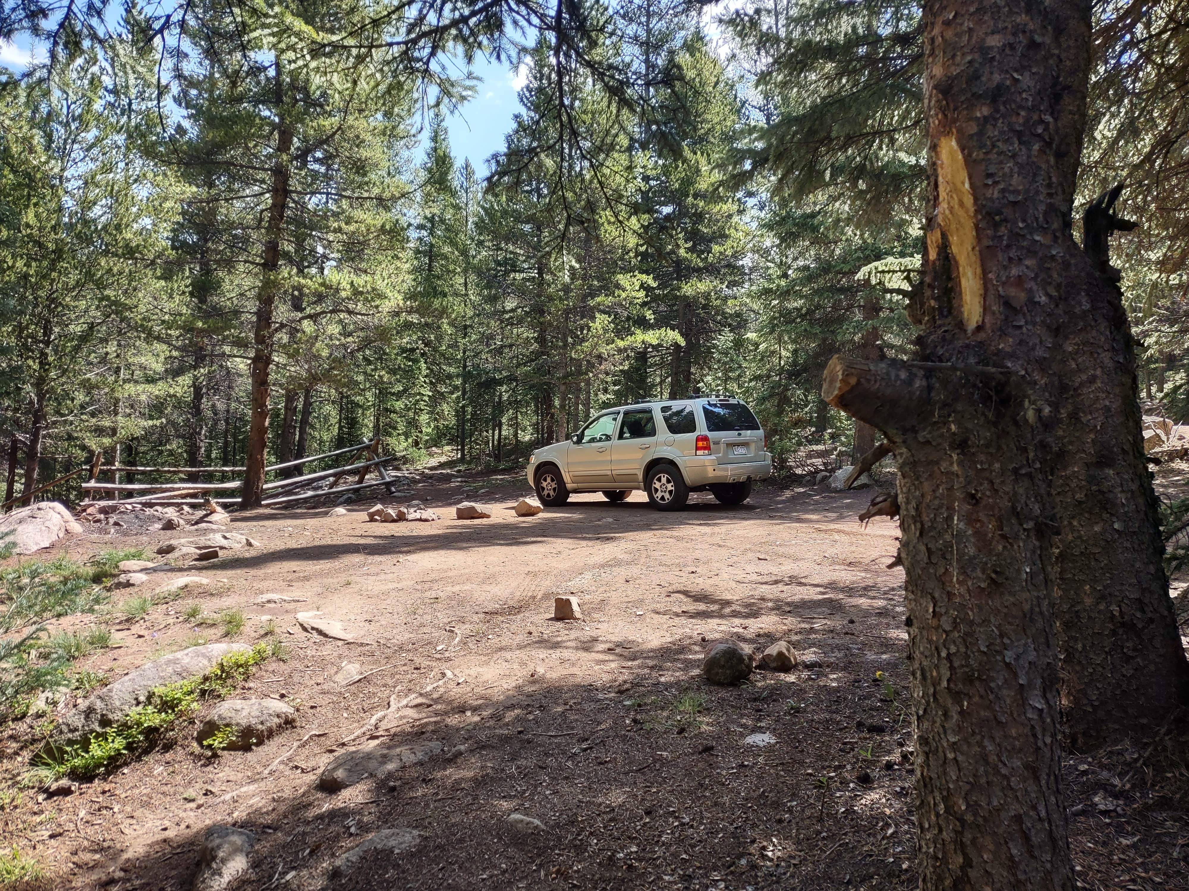 rwtf112sm's photo of camping with pets at Peru Creek Designated Dispersed Camping near Silver Plume, CO