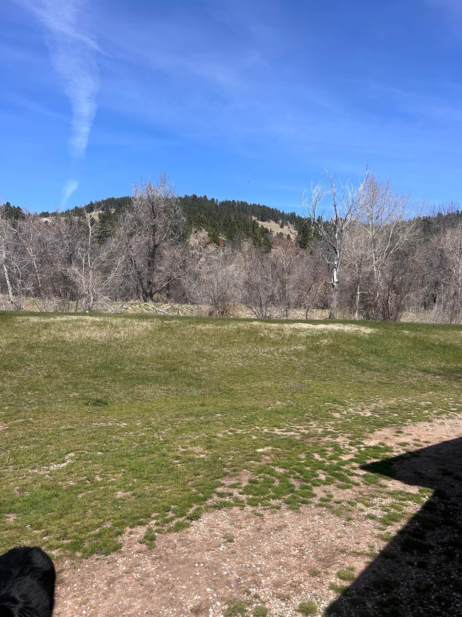 The Dyrt's photo of camping with pets at Days End Campground near Spearfish, SD