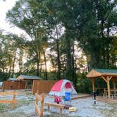 Review photo of Lumberton I-95 KOA by Stuart K., April 26, 2024