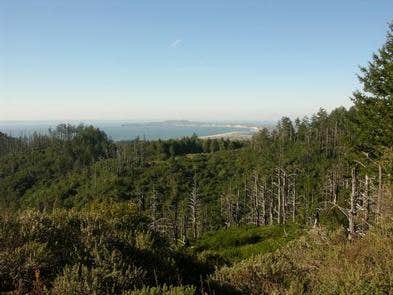 Point Reyes National Seashore Campground — Point Reyes National Seashore photo 2