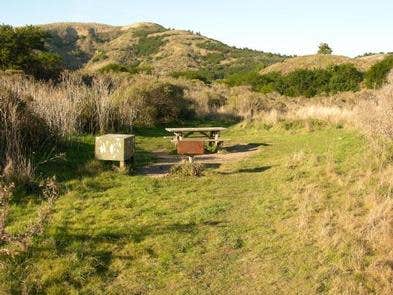 Point Reyes National Seashore Campground — Point Reyes National Seashore photo 3