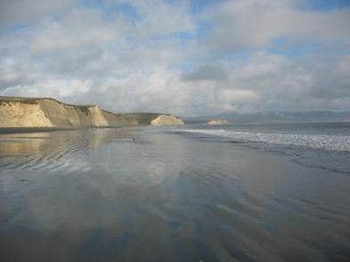 Camper submitted image from Point Reyes National Seashore Campground — Point Reyes National Seashore - 2