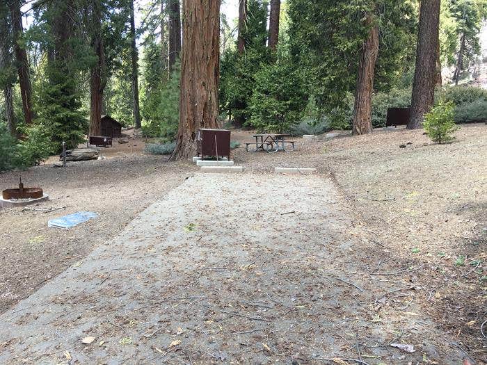 Camper submitted image from Grant Grove Cabins — Kings Canyon National Park - 2