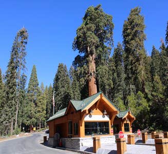 Camper-submitted photo from Grant Grove Cabins — Kings Canyon National Park