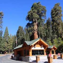 Public Campgrounds: Grant Grove Cabins — Kings Canyon National Park