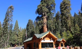 Camping near Abbott Creek Camping Area: Grant Grove Cabins — Kings Canyon National Park, Hume, California
