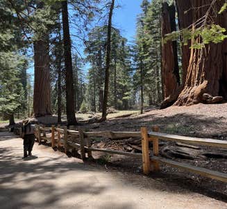 Camper-submitted photo from Grant Grove Cabins — Kings Canyon National Park