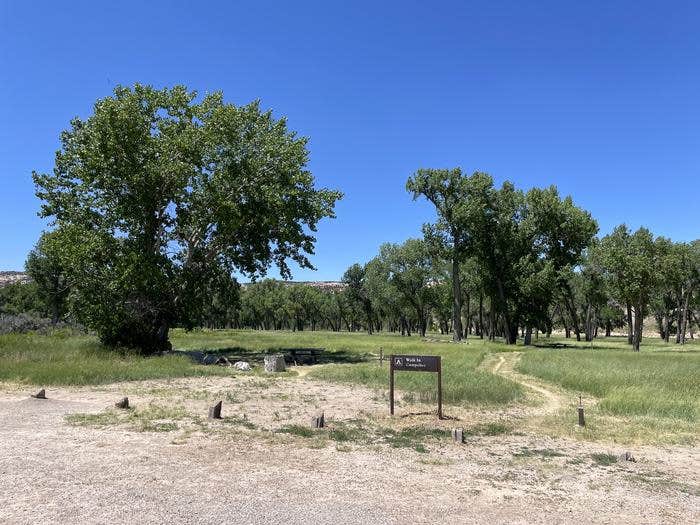 Camper submitted image from Deerlodge Park Campground — Dinosaur National Monument - 2