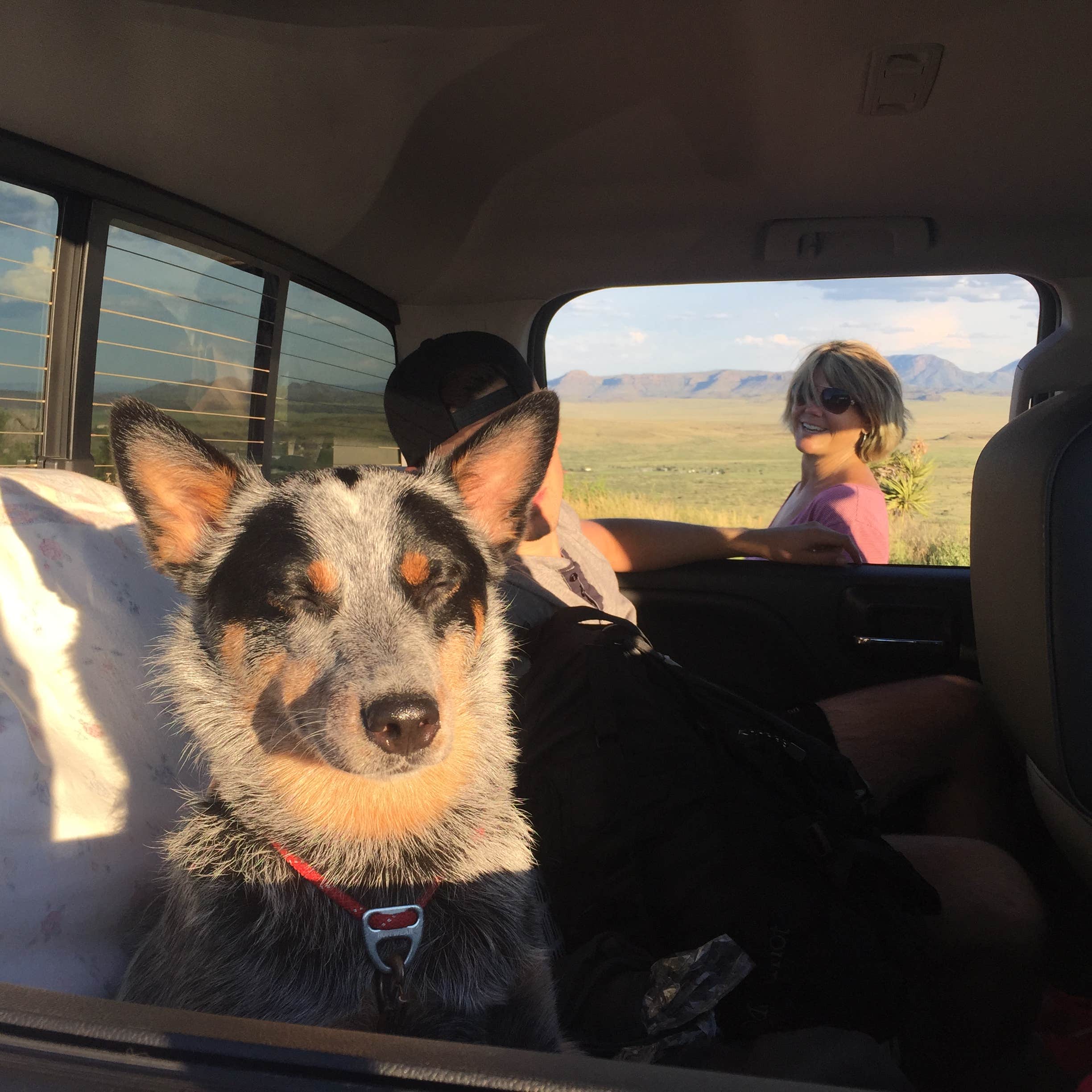 Camper submitted image from Davis Mountains State Park Campground - 5