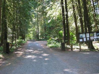 Camper submitted image from Mount Hood National Forest Tollgate Campground - 3