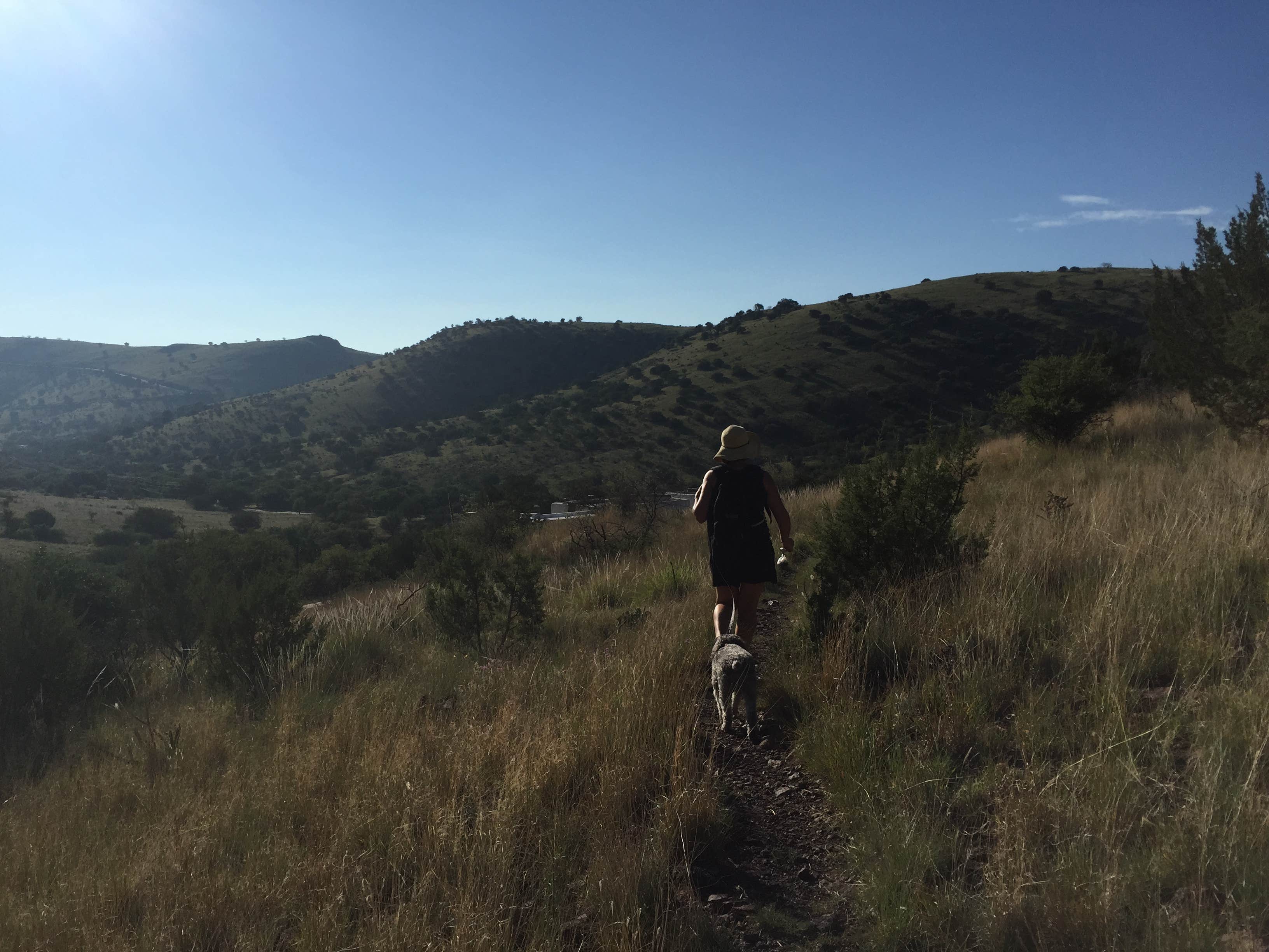 Camper submitted image from Davis Mountains State Park Campground - 2