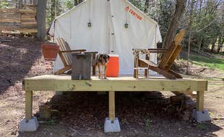 Victoria C.'s photo of camping with pets at Winedrops Creekside Camping near Epworth, GA