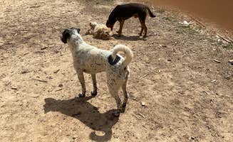 Victoria C.'s photo of camping with pets at WineDrops Creekside Camping Bills RV Parking near Acworth, GA