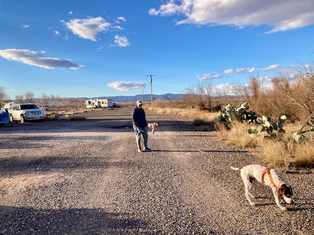 MickandKarla W.'s photo of camping with pets at Saddleback Mountain RV Park near Balmorhea, TX