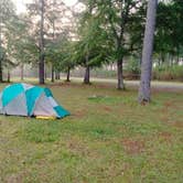 Review photo of Ocmulgee WMA Primitive Camping by jonathan B., April 26, 2024