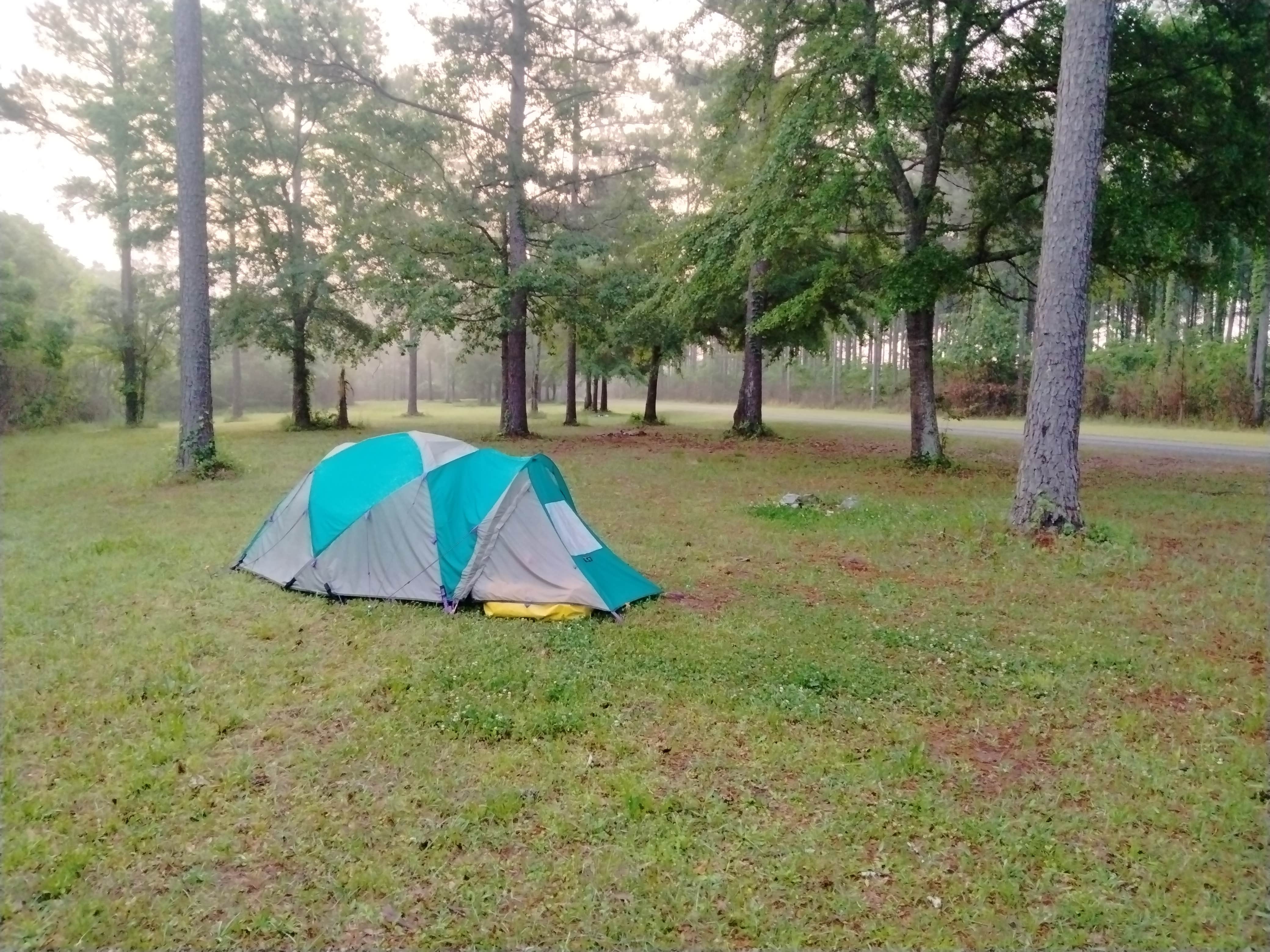 Camper submitted image from Ocmulgee WMA Primitive Camping - 1