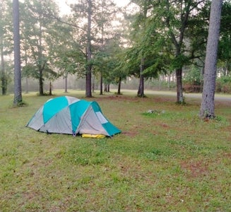 Camper-submitted photo from Ocmulgee WMA