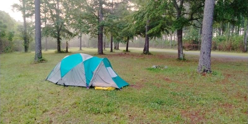 Camper submitted image from Ocmulgee WMA Primitive Camping
