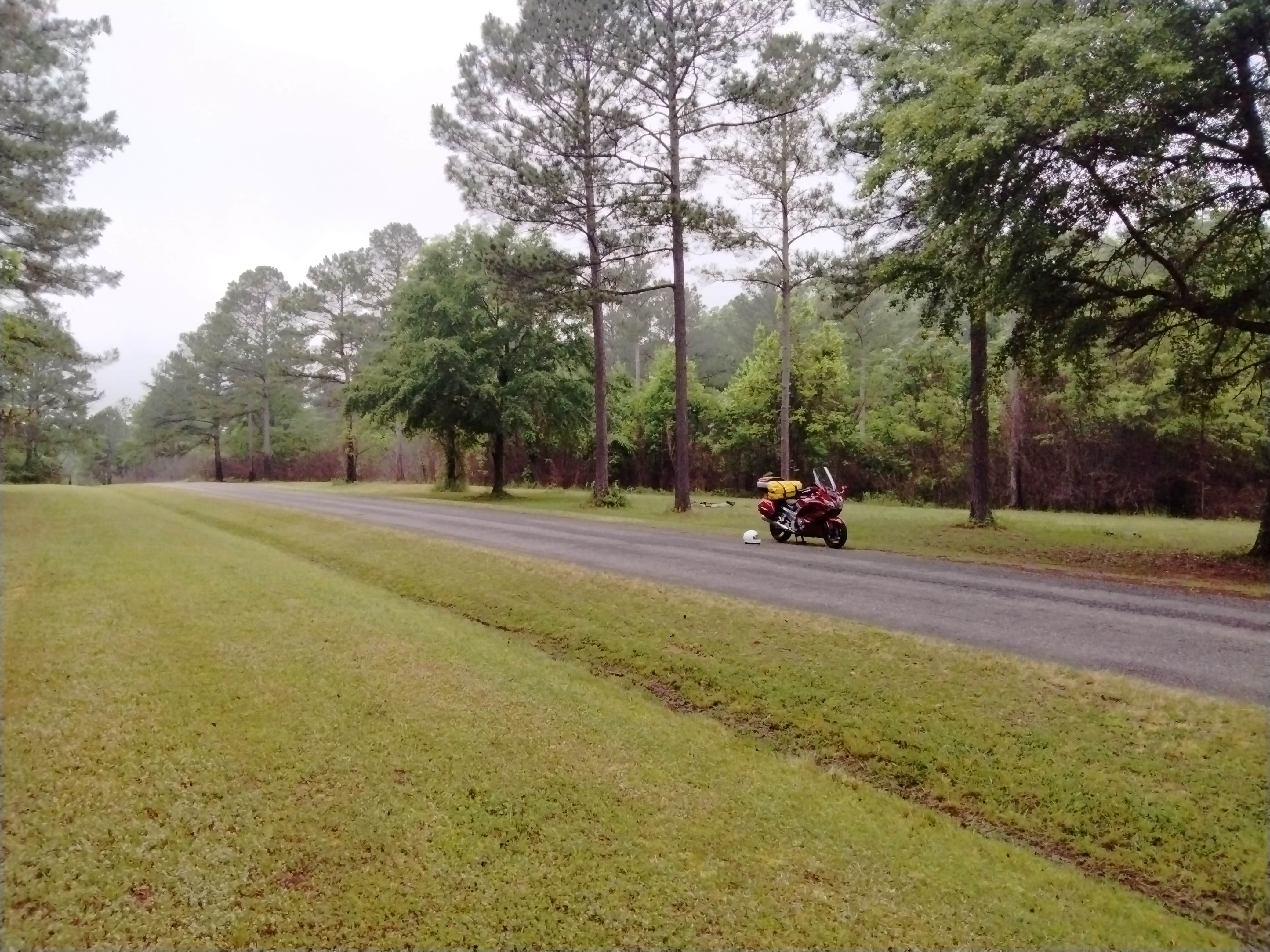 Camper submitted image from Ocmulgee WMA Primitive Camping - 4