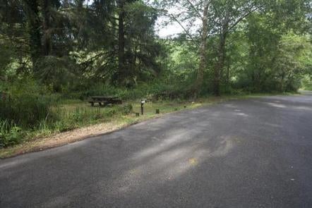 Large paved parking area next to a picnic table in a shady, grass covered campsite.



Tyee campground

Credit: USFS