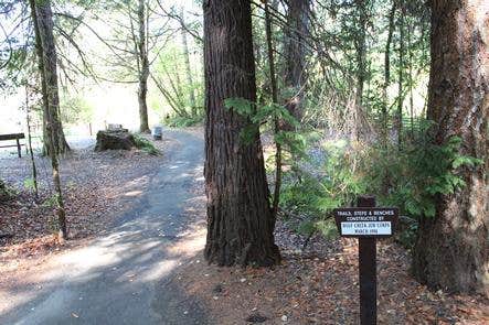 Camper-submitted photo at Tyee Recreation Site near Elkton, OR