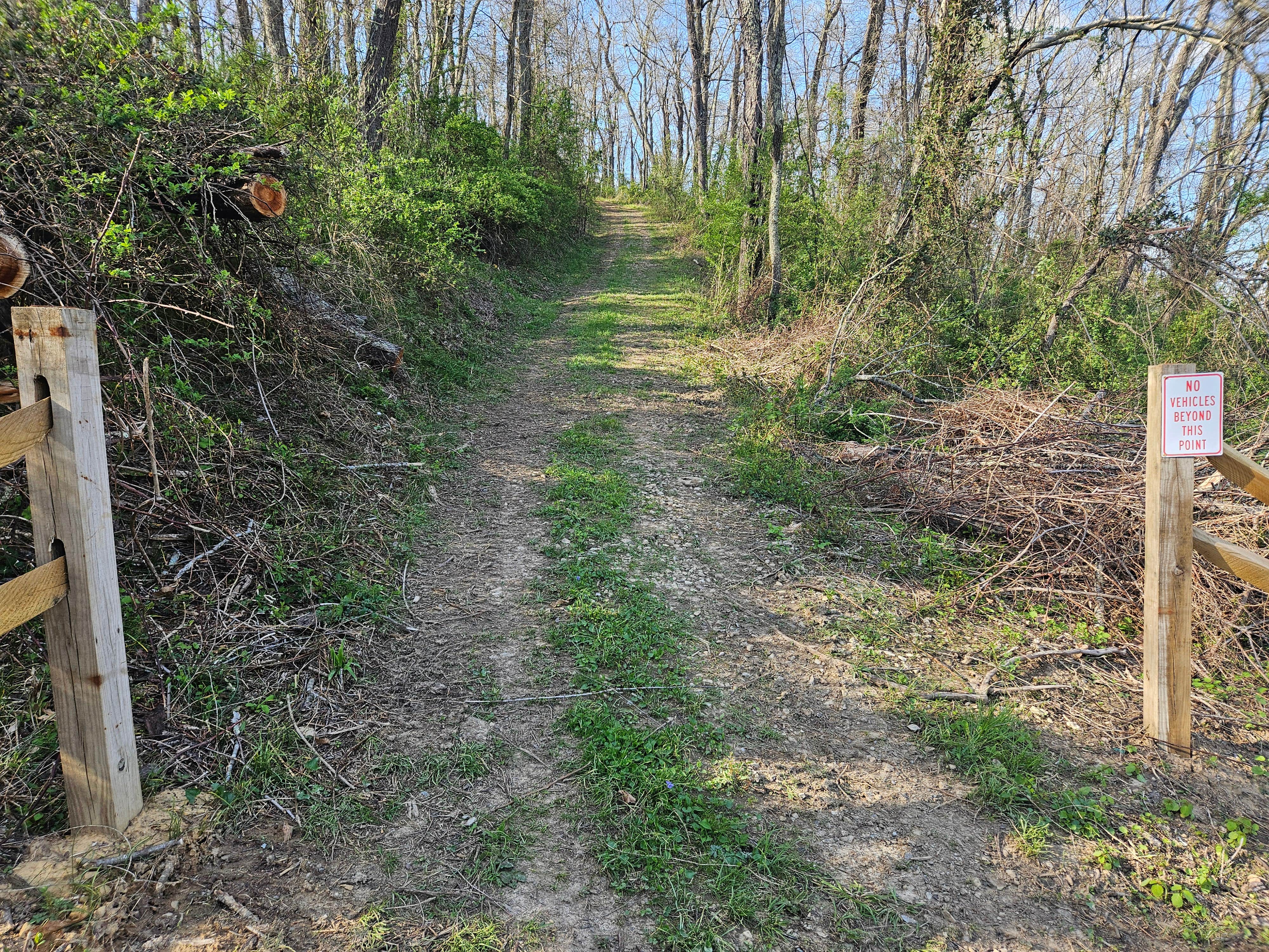 Camper-submitted photo at Hocking Vacations Campsites near Logan, OH