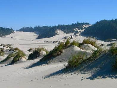 Camper submitted image from Umpqua Sand Camping - 1