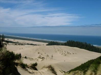 Camper submitted image from Umpqua Sand Camping - 1