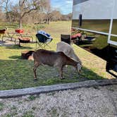 Review photo of Pecan Valley RV Park by MickandKarla W., April 27, 2024